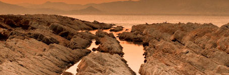 【修复版】可靠的在线手机号接收